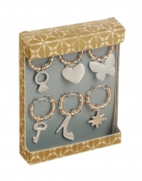 CHARM290